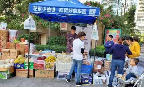 社區團購轉向理性競爭，日用百貨銷售迎高質量發展新機遇